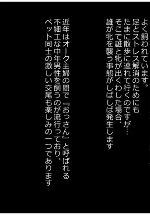 オーク村へようこそ!