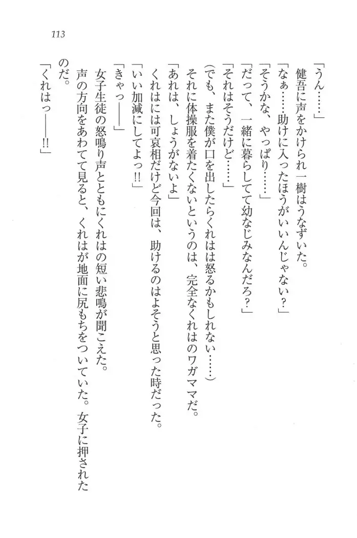 お嬢様はメイド様!?