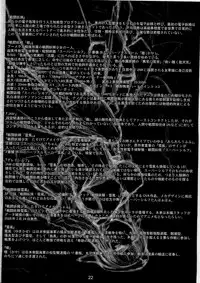 (C79) [MISS BLACK OFFLINE (MISS BLACK)] Sentou Yousei Shoujo Kaya (Yukikaze)