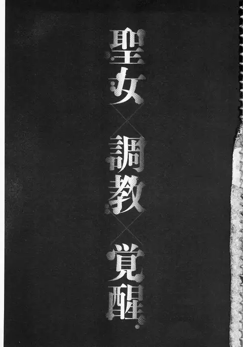 聖墮陰陽 -聖女的容貌與淫蕩-