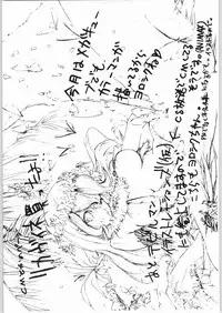 (C64) [nylon 100% (Nylon)] Private Beach! (Dead or Alive)