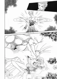 (C65) [Hanakaidou (Hanakaidou Yukio)] The Plastic Moon (Fate/stay night) [Chinese]