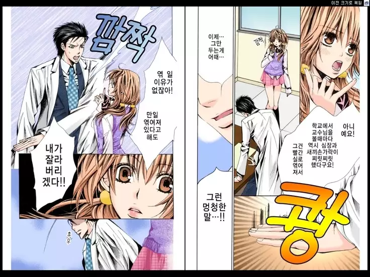 Naisho no Love Mariage | 비밀의 결혼