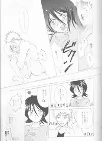 (SUPER14) [PONCHEES (KARI) (Irohane Sui)] STRAWBERRY ON THE SHORTCAKE (BLEACH)