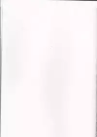 (C83) [Koishishi7 (Dai)] OBAmaniac (TIGER & BUNNY)