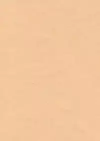 (SC39) [Tokyo Glider (Ura Dramatic)] Kite Mite Sawatte Mite (Touhou Project)