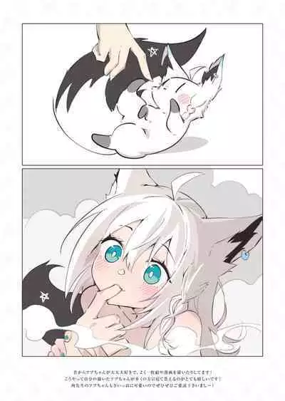 FOXY Beyond FBK's Stage