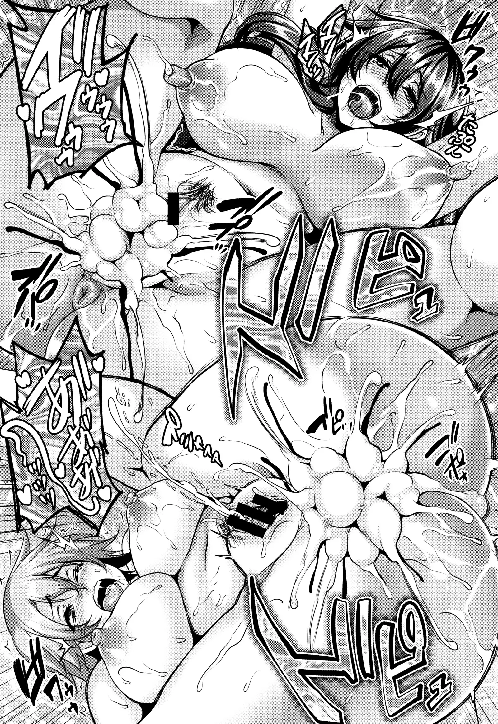 Mesuiki ~Hame Trip~ + Melonbooks leaflet