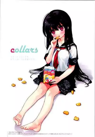 Aniki and I and an illustration summary book + Omake