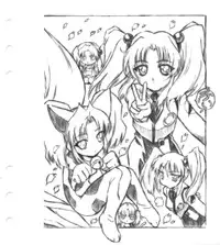 [Ruri Ruri] Super Barning Fire File (Martian Successor Nadecico)