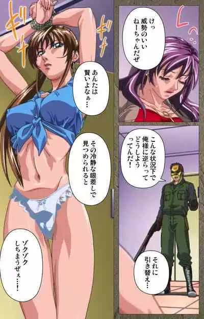 Shin Bible Black kanzenhan