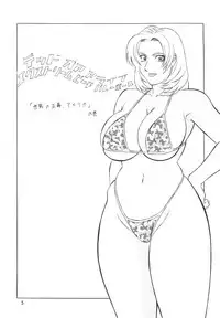 (CR33) [Rippadou (H-H)] H-H Soushuuhen 2 (Various)