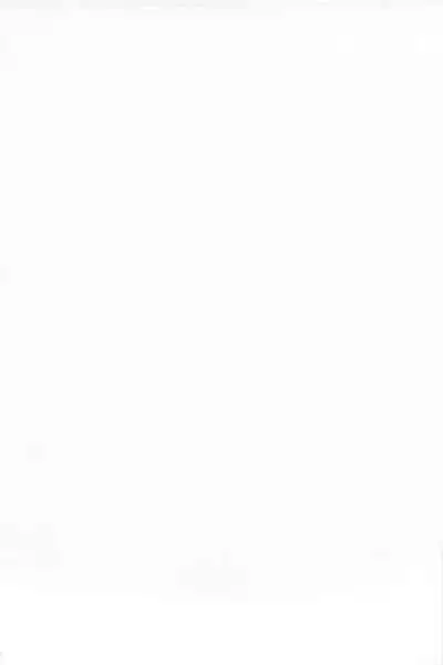 C88 Kaijou Genteibon Denma o Motte Rin-chan Seisu