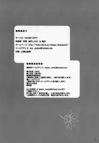 [AKABEi SOFT (ALPHa)] FLASH BACK 2 (Tales of Destiny 2)