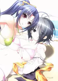 Sakura Sakura Visual Fan Book