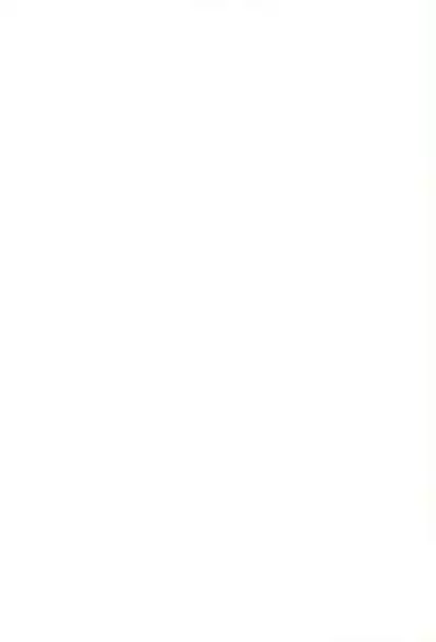 [Marchen Honpo (Various)] Yonku Yuugi Maki no Ni (Bakusou Kyoudai Let's & Go!!)