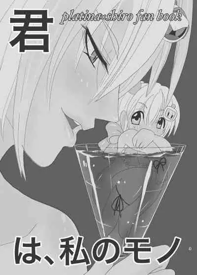 Kimi wa, Watashi no Mono