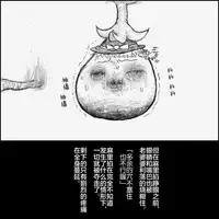 大姊姊与油库里(半生不熟汉化组)