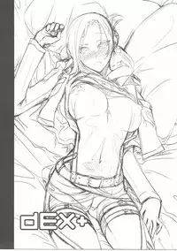 (C90) [DEX+ (Nakadera Akira)] Hekinai Chousa (Shingeki no Kyojin)