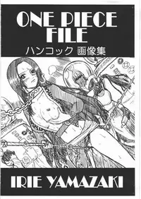 (COMIC1☆4) [Rat Tail (Irie Yamazaki)] ONE PIECE FILE Hancock Gazoushuu (One Piece)