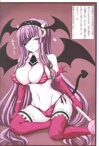 (C76) [Ruciedo (jema)] MARIA&JOKER (Touhou Project)