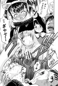 [Tomozawa Shou] Chiccha Harem - Harem of Little Princesses