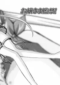 (C68) [Aberyu (Abe Ryuu)] Ojou-sama Kankin! (Hayate no Gotoku!)