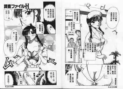 Chousa File H - Investigation File