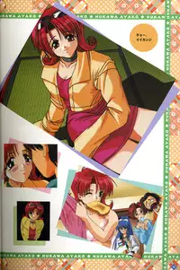 [Visual Fanbook][F&C] きゃんきゃんバニー プルミエール２攻略&設定資料集