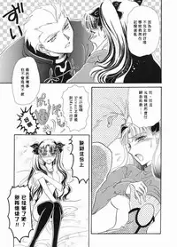 (C65) [Hanakaidou (Hanakaidou Yukio)] The Plastic Moon (Fate/stay night) [Chinese]