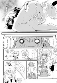 [爆猫] D3 (Disc Dog Days) ディーキューブ (DOG DAYS)