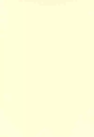 (C99) [Retasuya (Retasu)] Ennai Konkatsu