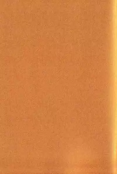 Sore ni Toga wa Nashi