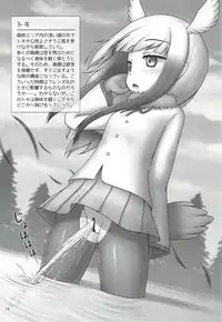 (C92) [Besshun-tei (Arisu Kazumi)] Friends no Oshikko Kansatsuki (Kemono Friends)