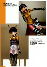 (C80) [Tairikukan Dandoudan Dan (Sakura Romako)] Choukyou Kiroku