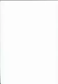 (C90) [Zettai Shoujo (RAITA)] Mahou Shoujo 16.0