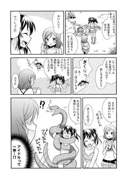 NICO & MAKI COLLECTION 3