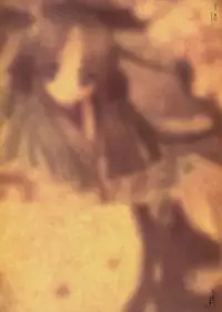 [CARNELIAN] Yami to Boushi to Hon no Tabibito Visual Fanbook