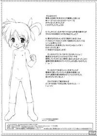 (COMIC1☆3) [Testa Kitchen (Testa)] nanO RAISER (Mahou Shoujo Lyrical Nanoha)