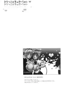 (C86) [Maniac Street (Oono, Sugaishi)] Harem Collection (To LOVE-Ru) [Decensored]