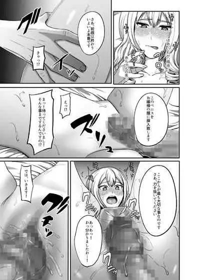 Ichiryuu no Lady wa Seikoui no Gijutsu mo Ichiryuu denakute wa