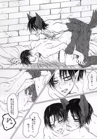 (Kyuushuu Hekigai Chousa Haku) [Oversight (Machiko)] CrazyMoon (Shingeki no Kyojin)