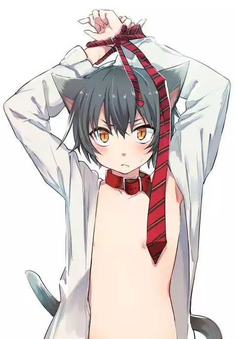 Nora Neko to Rainy Days {Shotachan}