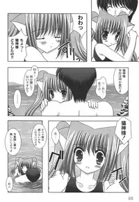 [Shikigami Azuma] Nichoume no Nekogamisama