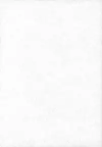 (C78) [SOLEX (TOKU, Sanomako, Lamb)] RURIMIX SP11 (Martian Successor Nadesico)