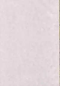 (C71) [GUST (Gust-san)] Iro-8 (Mahou Sensei Negima!) [English] [CGRascal]