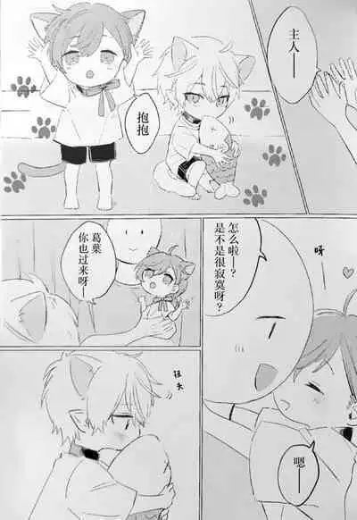 Neko no Iru Seikatsu | 有猫的生活