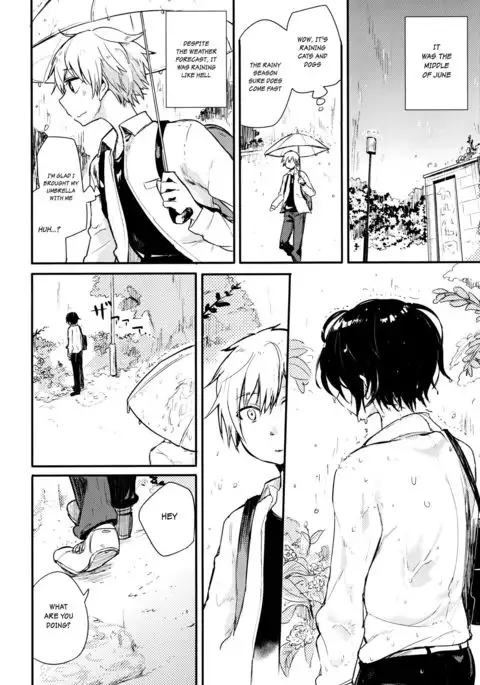 Nora Neko to Rainy Days {Shotachan}