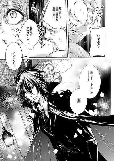 鬼畜兄弟の悶絶調教~私はいいなり奴隷~