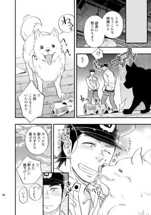 Yume no END wa Itsu mo ×××